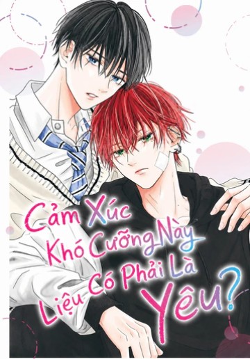 Cảm xúc khó cưỡng này liệu có phải là Yêu?