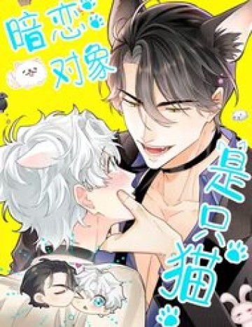 Crush Của Tôi Là Mèo