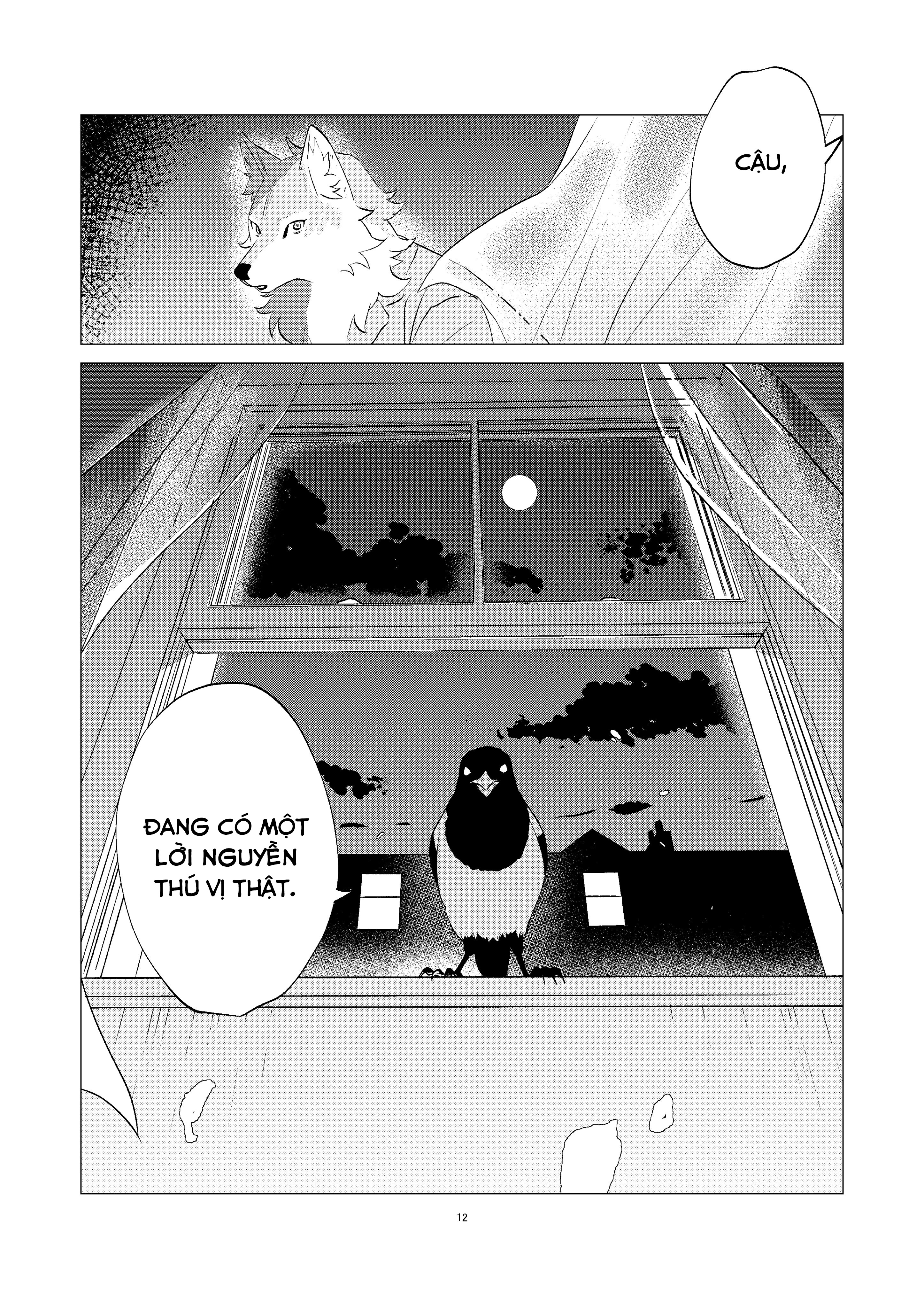 Sail into Dawn Chapter 1 - 11